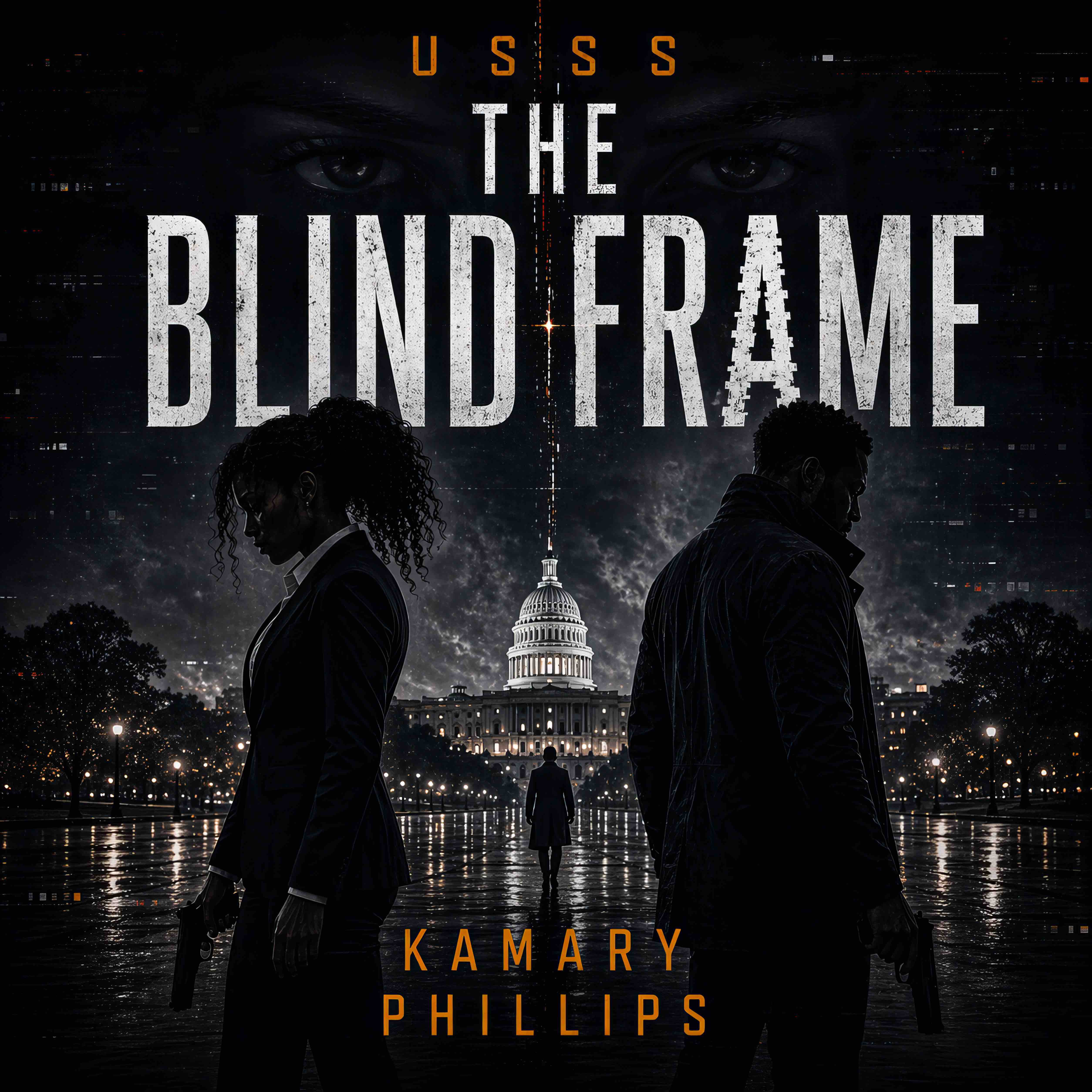 USSS: The Blind Frame audiobook cover